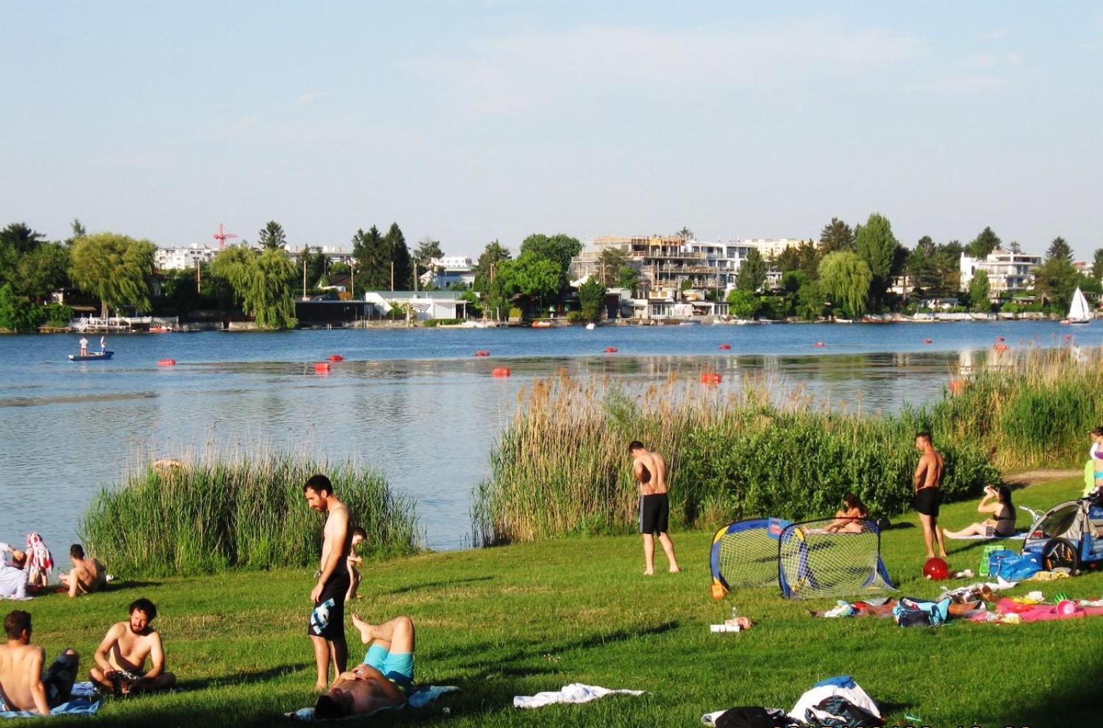 Yuki'S Place - Un-Vic, Danube Beach And Subway Near To Downtown 维也纳 外观 照片